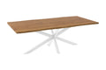 #wildeichenfarben #220x100 #spider-gestellweiß