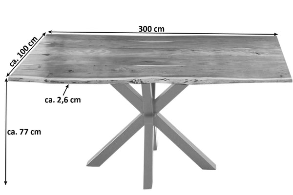 #naturfarben #300x100 #spider-gestellsilber