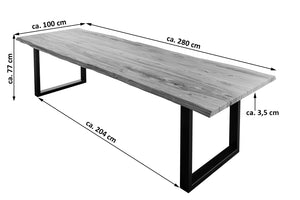 #sheeshamnaturfarben #280x100 #u-gestellschwarz