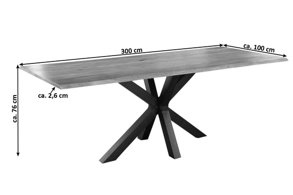 #naturfarben #300x100 #spider-gestellschwarz