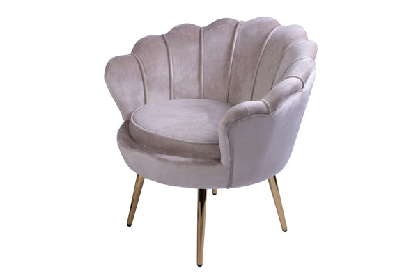 #taupe
