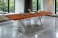#nussbaumfarben #200(300)x100 #x-gestellsilber