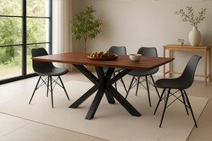 #160x85 #spider-gestellschwarz