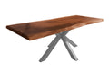 #nussbaumfarben #200x110 #spider-gestellsilber