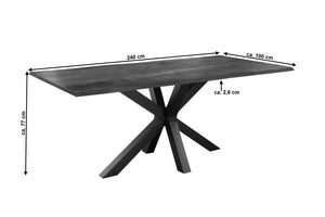 #nussbaumfarben #240x100 #spider-gestellschwarz