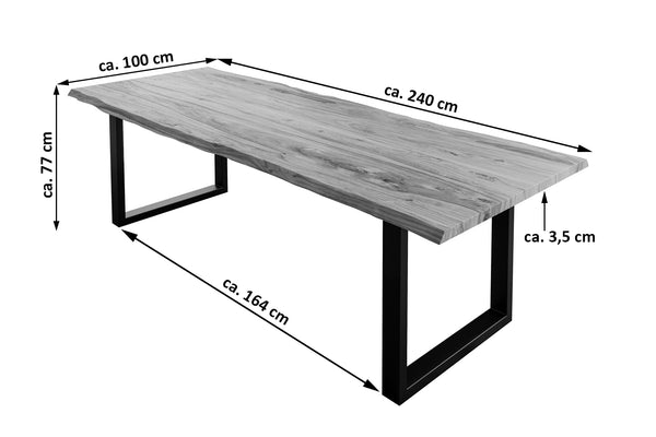 #sheeshamnaturfarben #240x100 #u-gestellschwarz