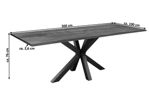 #nussbaumfarben #300x100 #spider-gestellschwarz