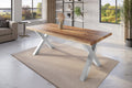#mangoroughfarben #220x100 #x-gestellsilber