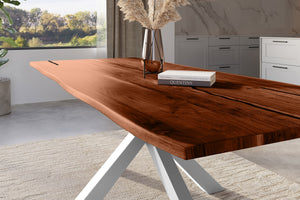 #nussbaumfarben #300x100 #spider-gestellsilber