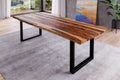 #sheeshamnaturfarbenlackiert #240x100 #u-gestellschwarz
