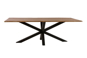 #220x100 #spider-gestellschwarz