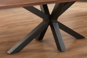#nussbaumfarben #260x100 #spider-gestellschwarz