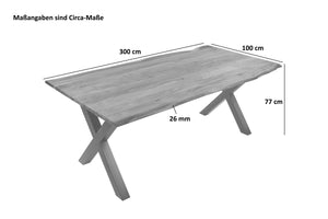#300x100 #x-gestellsilber