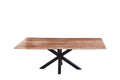 #naturfarben #280x100 #spider-gestellschwarz