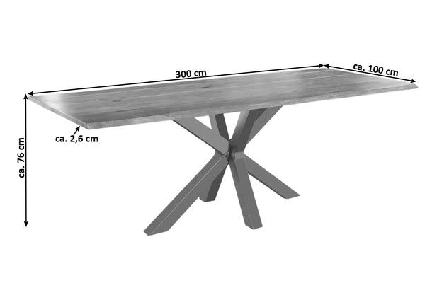 #naturfarben #300x100 #spider-gestellsilber