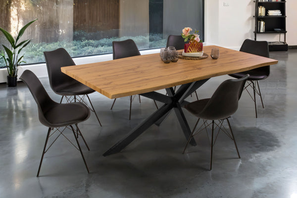 #wildeichenfarben #200x100 #spider-gestellschwarz