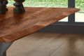 #nussbaumfarben #260x100 #spider-gestellsilber