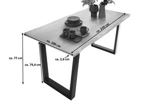 #grau-sandgestrahlt #220x100 #v-gestellschwarz