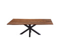 #nussbaumfarben #260x100 #spider-gestellschwarz