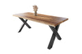 #mangoroughfarben #240x100 #x-gestellschwarz