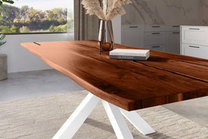 #nussbaumfarben #300x100 #spider-gestellweiß