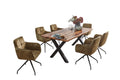 #sheeshamnaturfarbenlackiert #160x85 #x-gestellschwarz