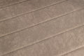 #taupe