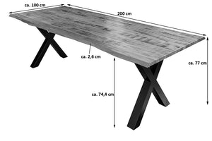 #200x100 #x-gestellsilber