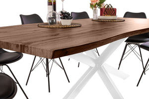 #holznussbaum-optik #240x100 #spider-gestellweiß