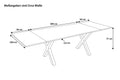 #200(300)x100 #x-gestellschwarz