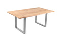 #200(300)x100 #u-gestellsilber
