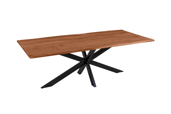 #nussbaumfarben #220(320)x100 #spider-gestellschwarz