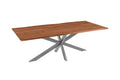 #nussbaumfarben #200(300)x100 #spider-gestellsilber