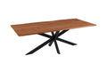 #nussbaumfarben #200(300)x100 #spider-gestellschwarz