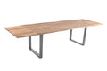 #naturfarben #200(300)x100 #u-gestellsilber