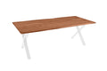 #nussbaumfarben #200(300)x100 #x-gestellweiß