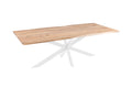#naturfarben #200(300)x100 #spider-gestellweiß