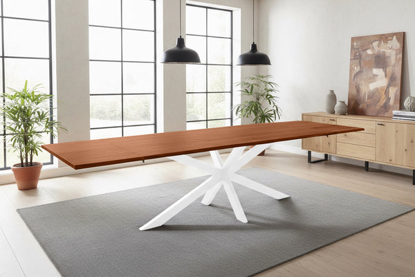 #nussbaumfarben #220(320)x100 #spider-gestellweiß