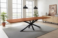 #nussbaumfarben #200(300)x100 #spider-gestellschwarz