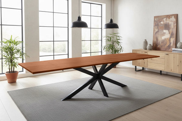 #nussbaumfarben #200(300)x100 #spider-gestellschwarz