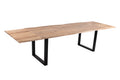 #naturfarben #200(300)x100 #u-gestellschwarz