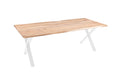 #naturfarben #200(300)x100 #x-gestellweiß