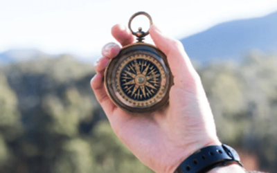 Shopping Guide für unsere Beimöbel