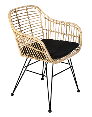 Rattanstühle mit Armlehne