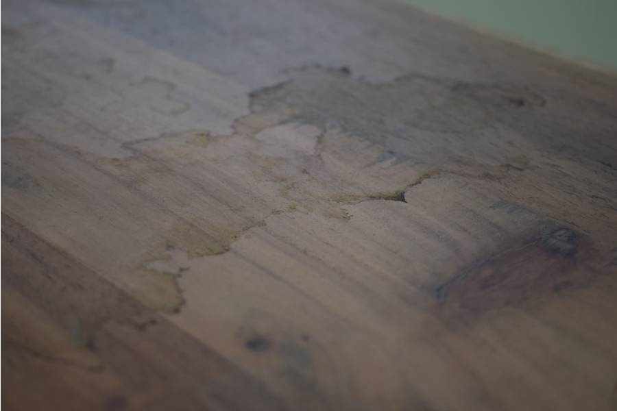 CasaMassiva-CWare-BeimC3B6bel-Lentia_Sara-Lentia_Sara_Vitrine_04