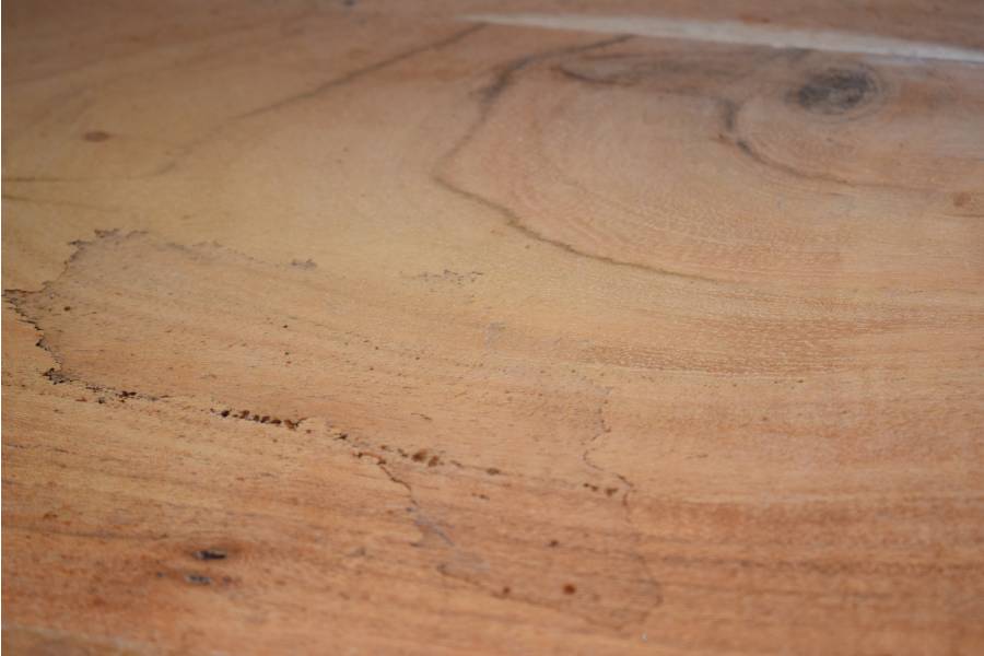 CasaMassiva-CWare-BeimC3B6bel-Lentia_Sara-Lentia_Sara_Vitrine_05