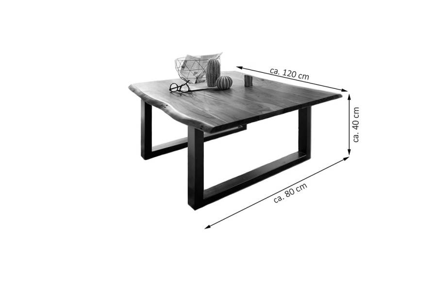 SAM_NEU-Beimoebel-Couchtische-Ida-neu-natur-silber-Couchtisch_natur_silb_02-1