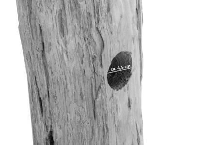 SAM_NEU-Beimoebel-Macon-Laval_06-1