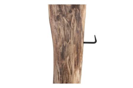 SAM_NEU-Beimoebel-Zalacca-Zalacca_neu_07-1