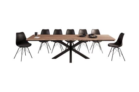 SAM_NEU-Esszimmer-Baumkante-Tische-Janosh-stone-180-Janosh_stone_schwarz_akazie_neu_05